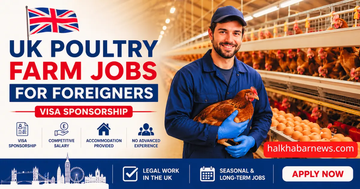 UK Poultry Farm Jobs for Foreigners 2026 (Visa Sponsorship, Salary & Application Guide)