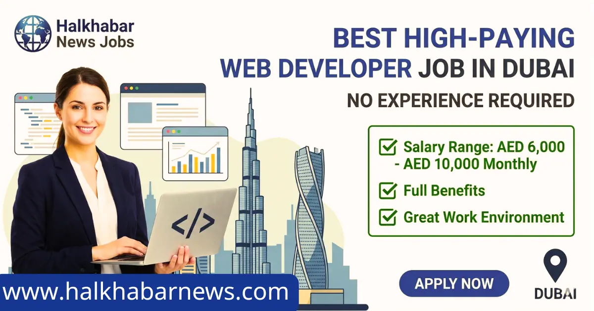 Web Developer Job in Dubai Without Experience